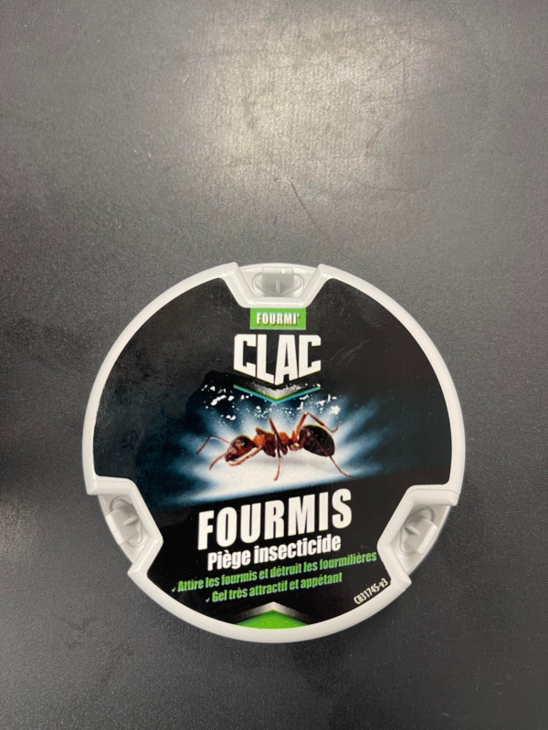Piège insecticide à Fourmis