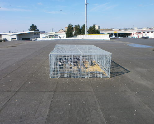 Service Technique d'Hygiène à Angers et La Rochelle